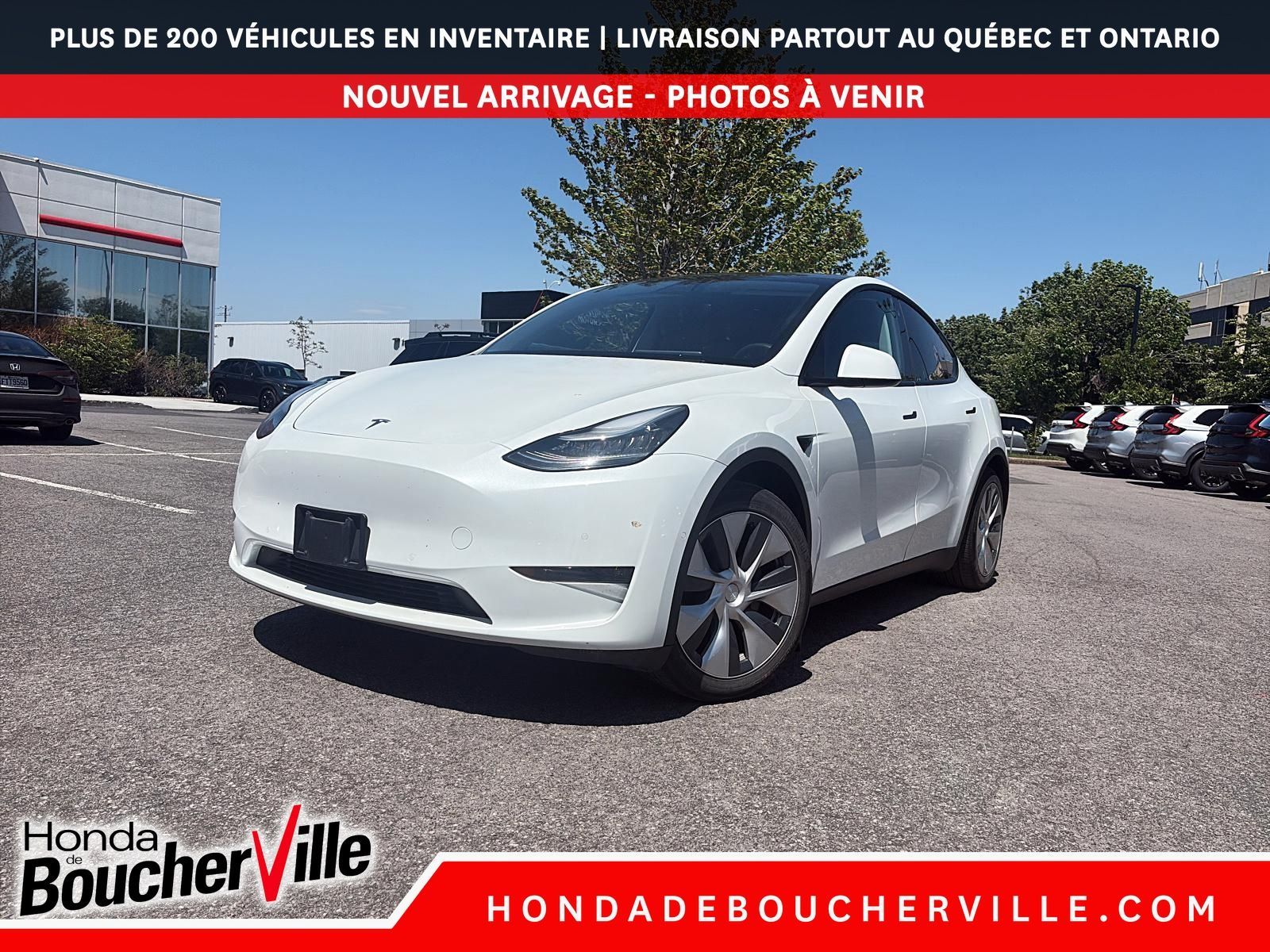 2020 Tesla Model Y Long Range