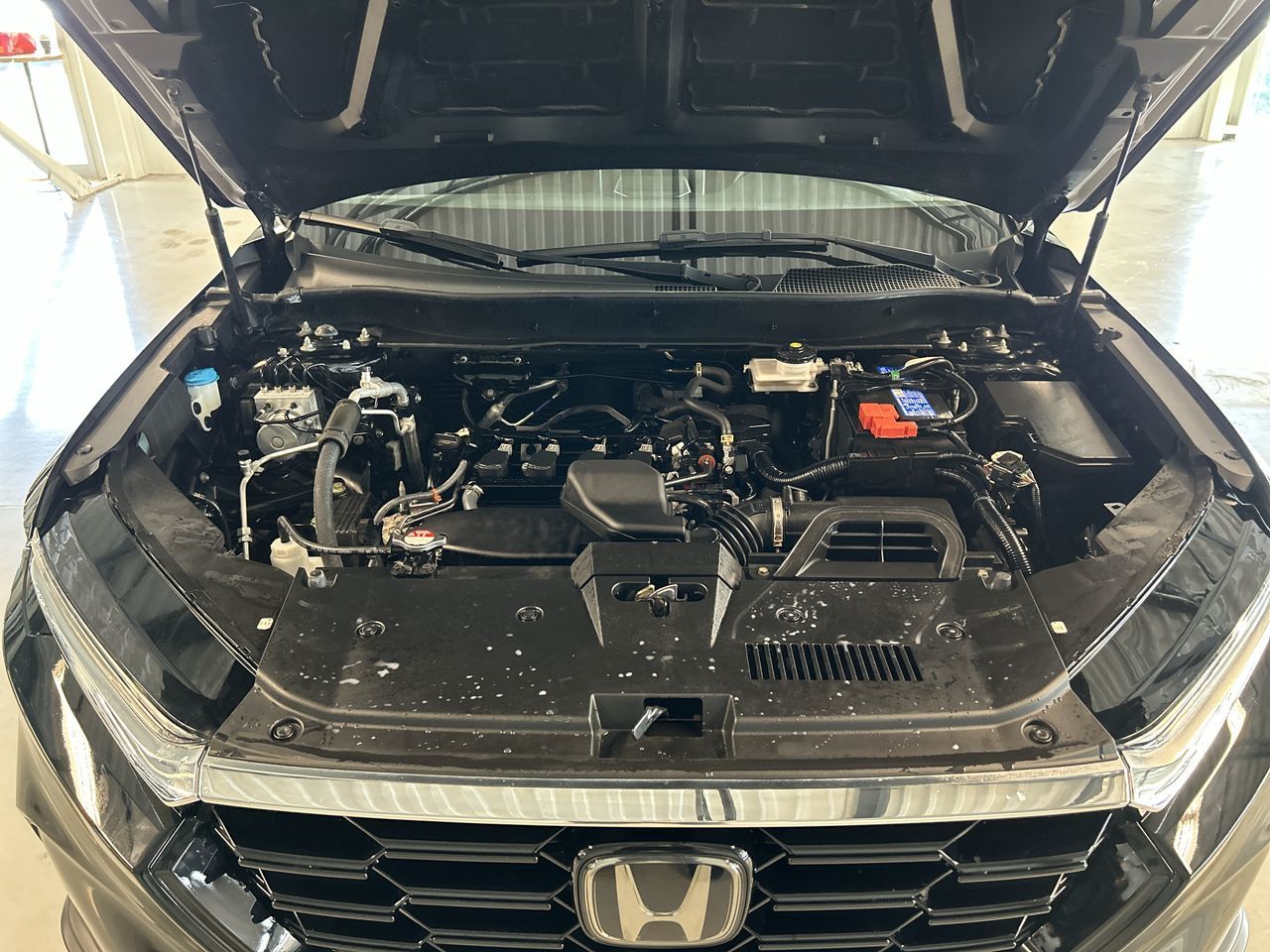 Honda CR-V  2023 à Dorval, Québec