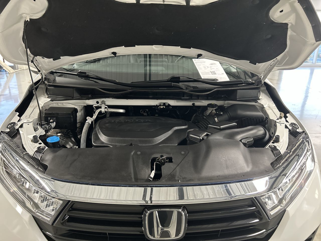 2023 Honda ODYSSEY EXL