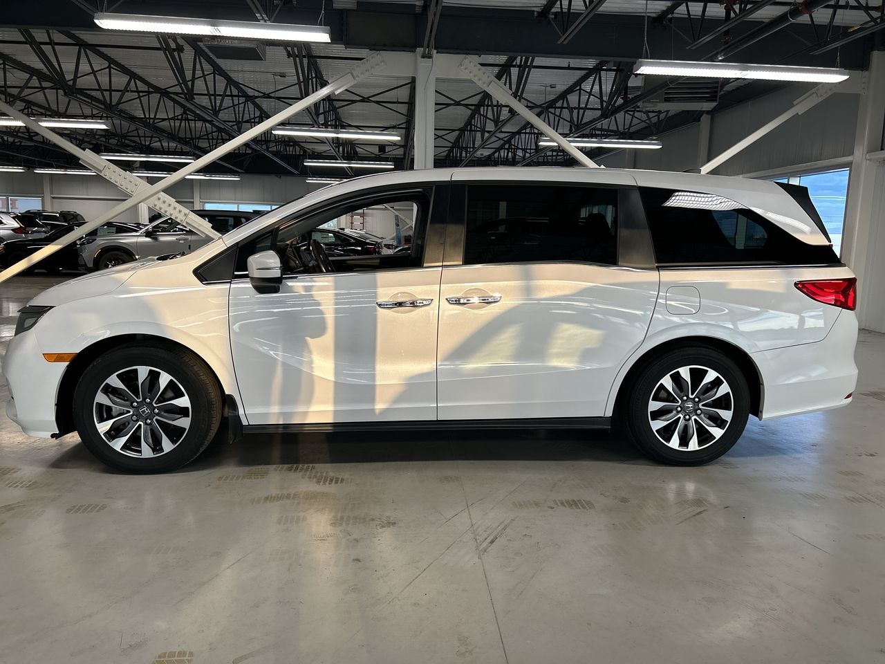 2023 Honda ODYSSEY EXL