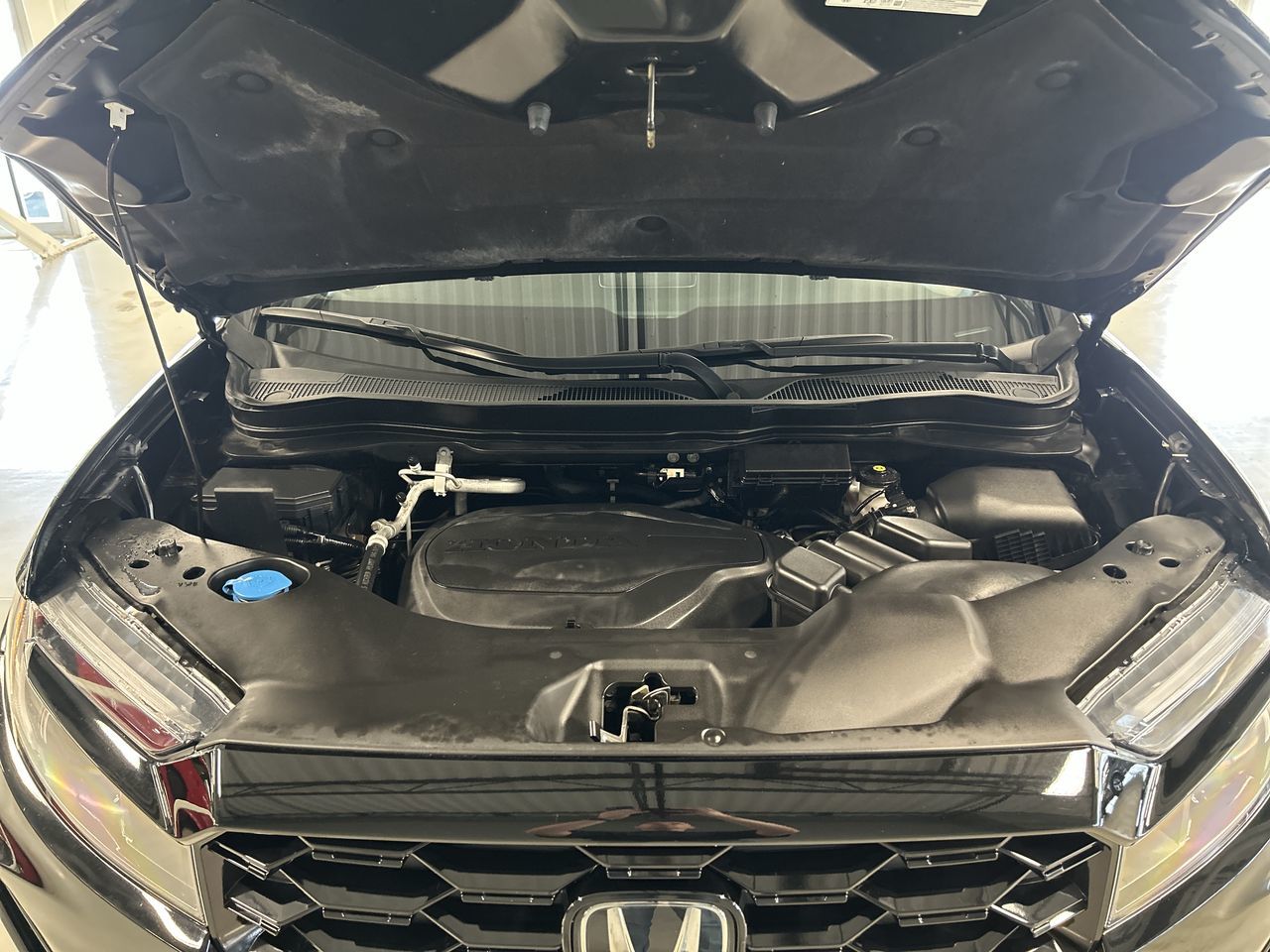 Honda Passport  2022