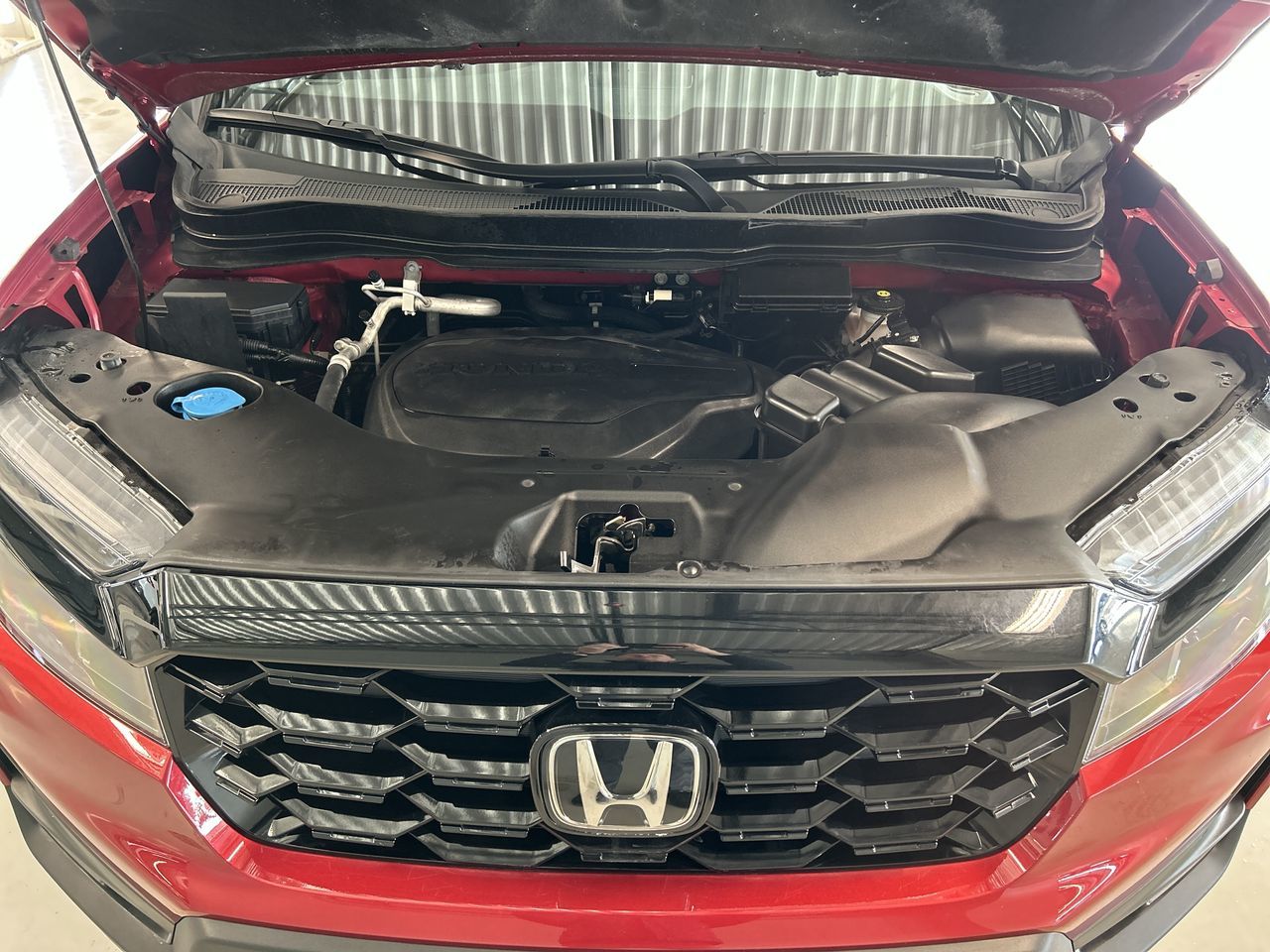 Honda Passport  2022