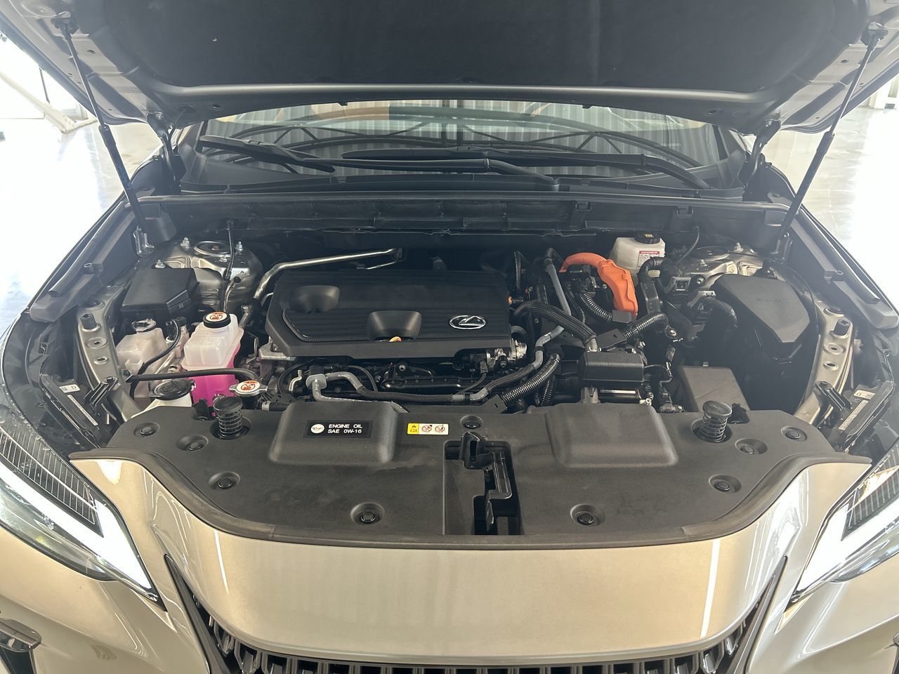 2024 Lexus NX in Dorval, Quebec