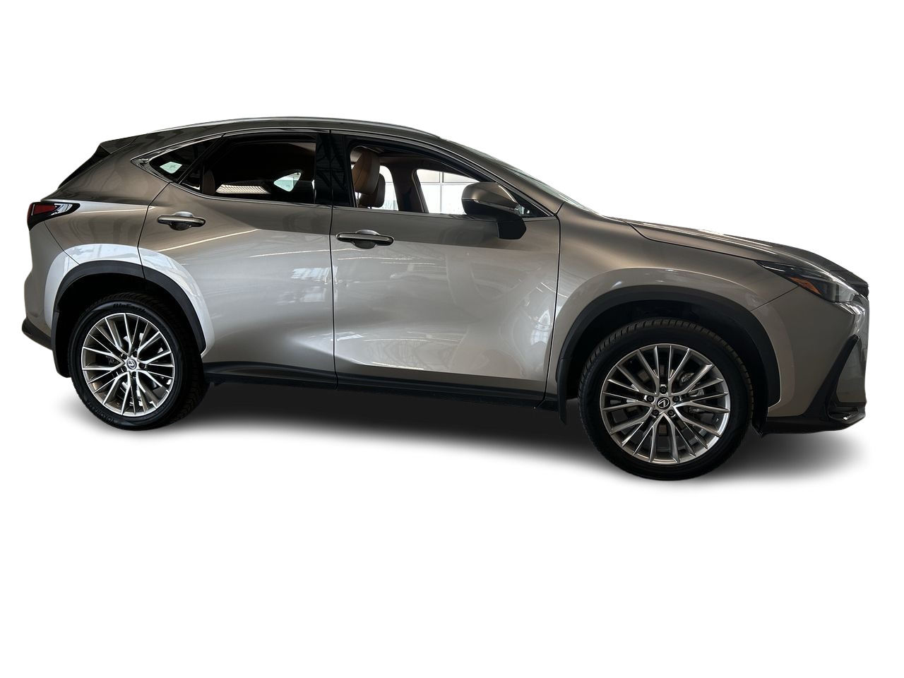 2024 Lexus NX in Dorval, Quebec