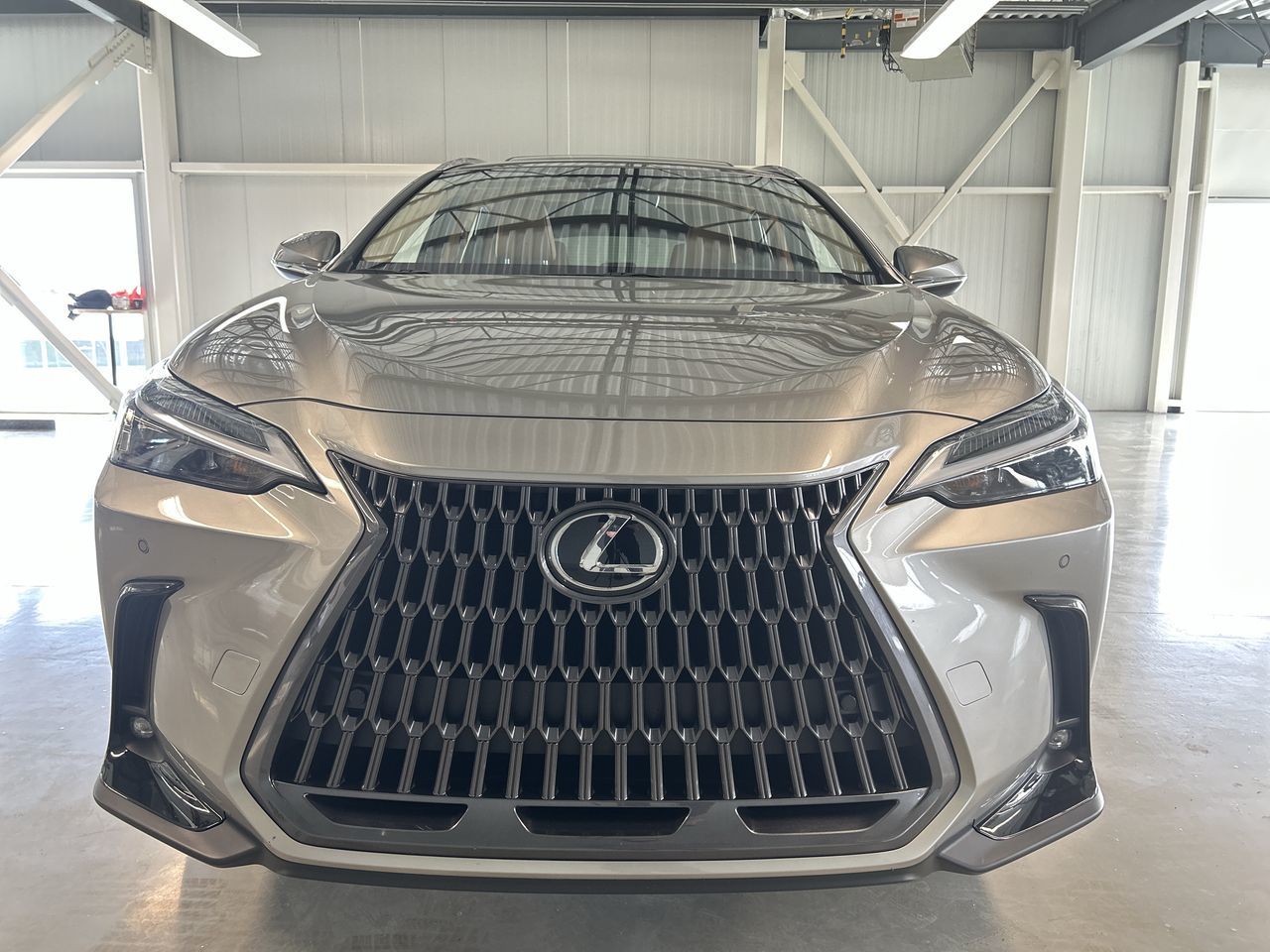 2024 Lexus NX in Dorval, Quebec