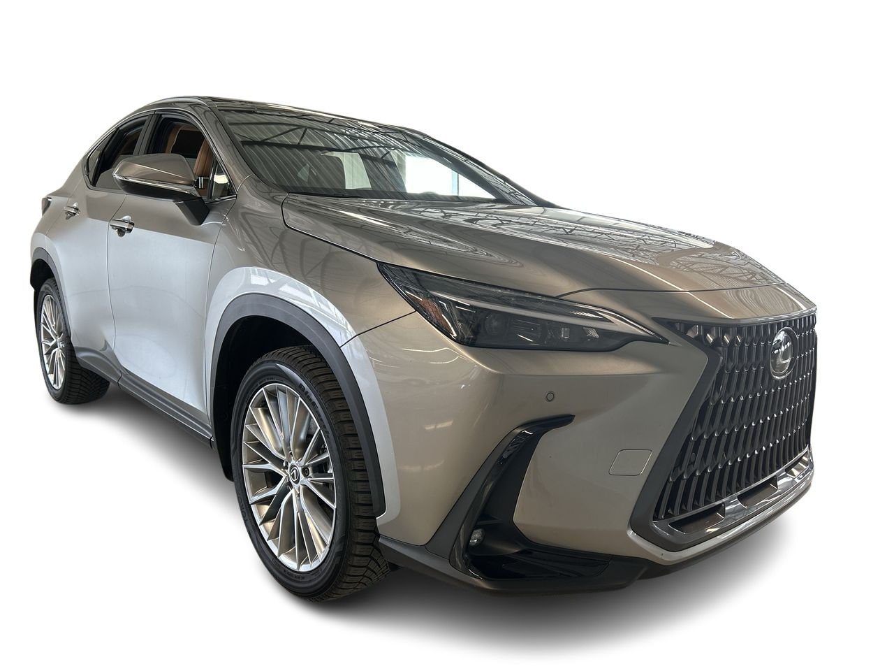 2024 Lexus NX in Dorval, Quebec
