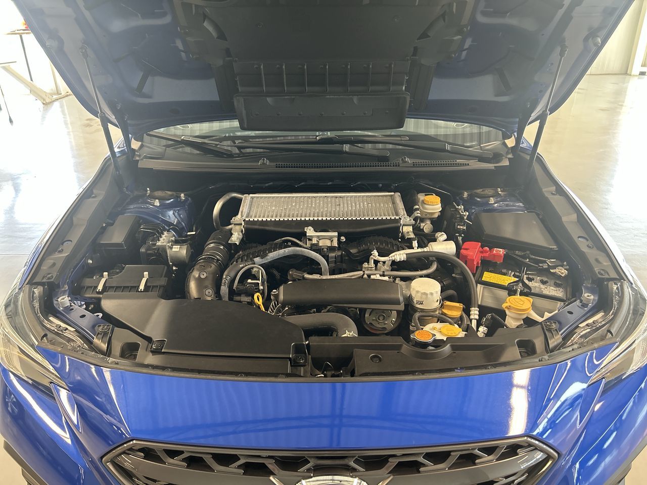 Subaru WRX  2023 à Dorval, Québec