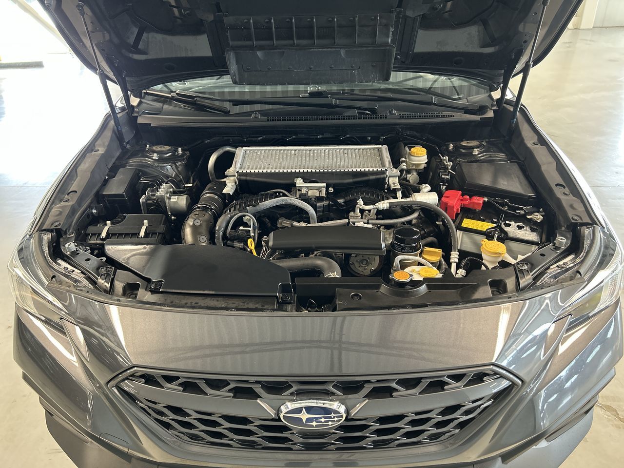 2024 Subaru WRX