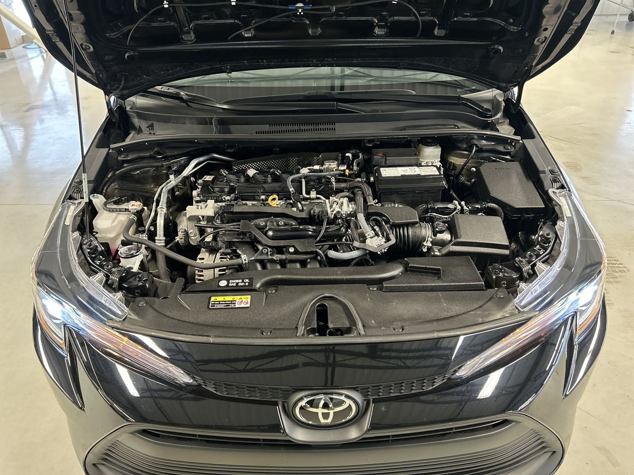 Toyota Corolla  2023