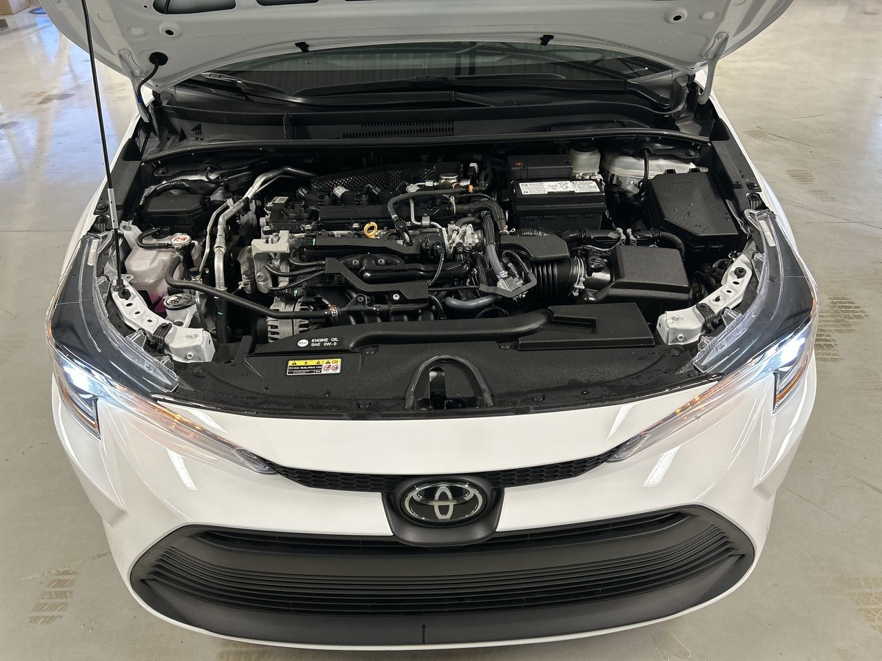 Toyota Corolla  2024