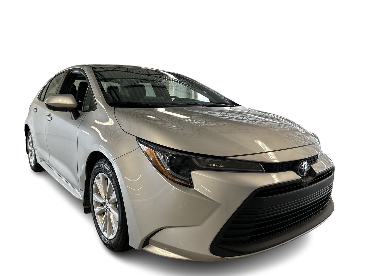 2025 Toyota Corolla in Dorval, Quebec