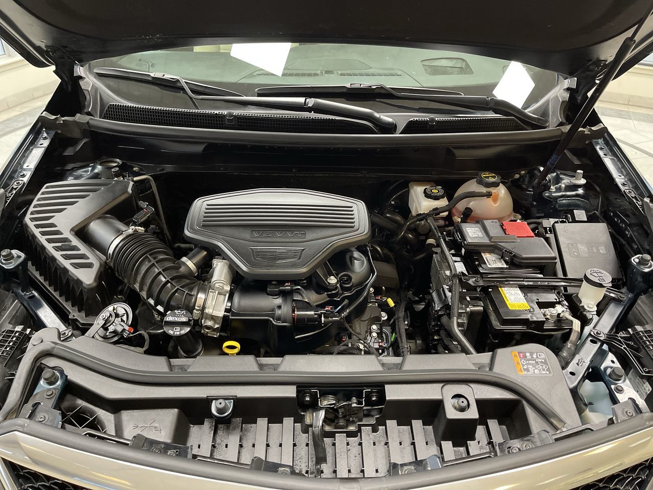 2024 Cadillac XT5 in Regina, Saskatchewan