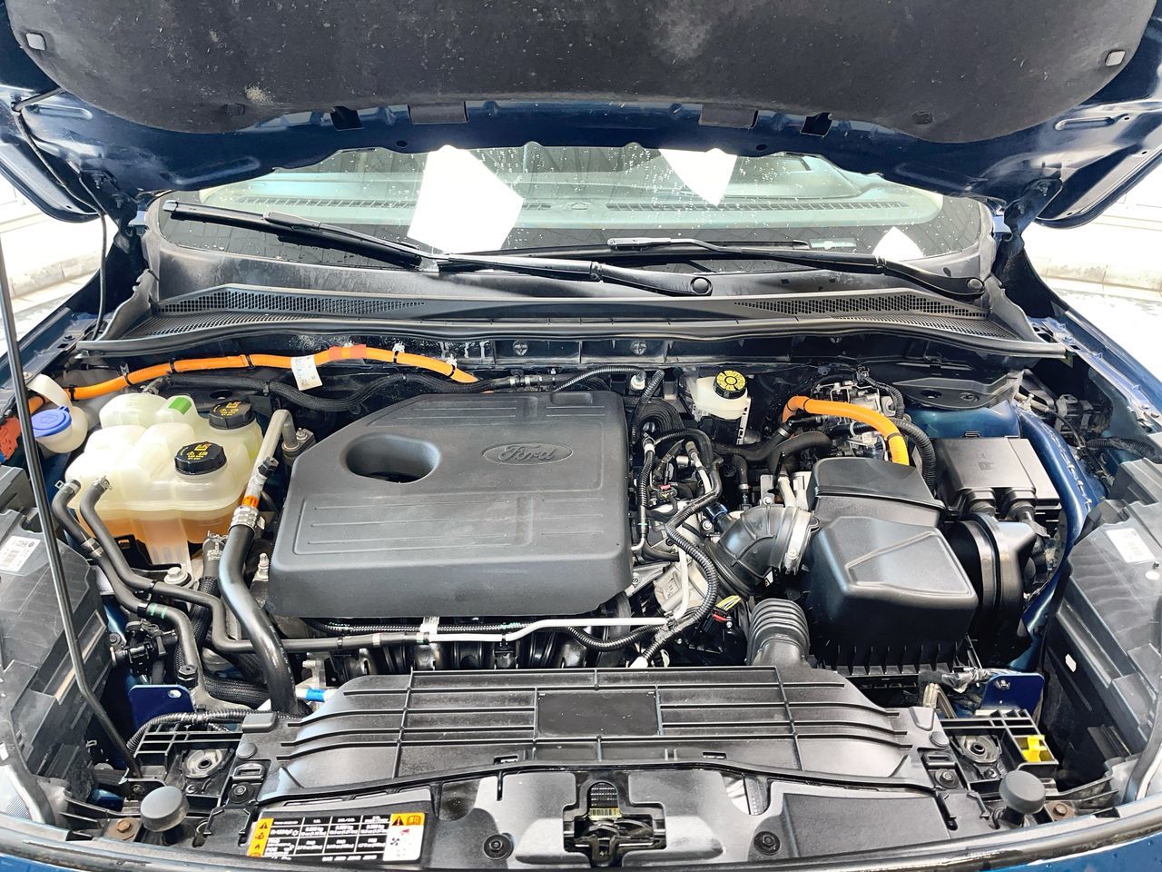 2020 Ford Escape in Regina, Saskatchewan