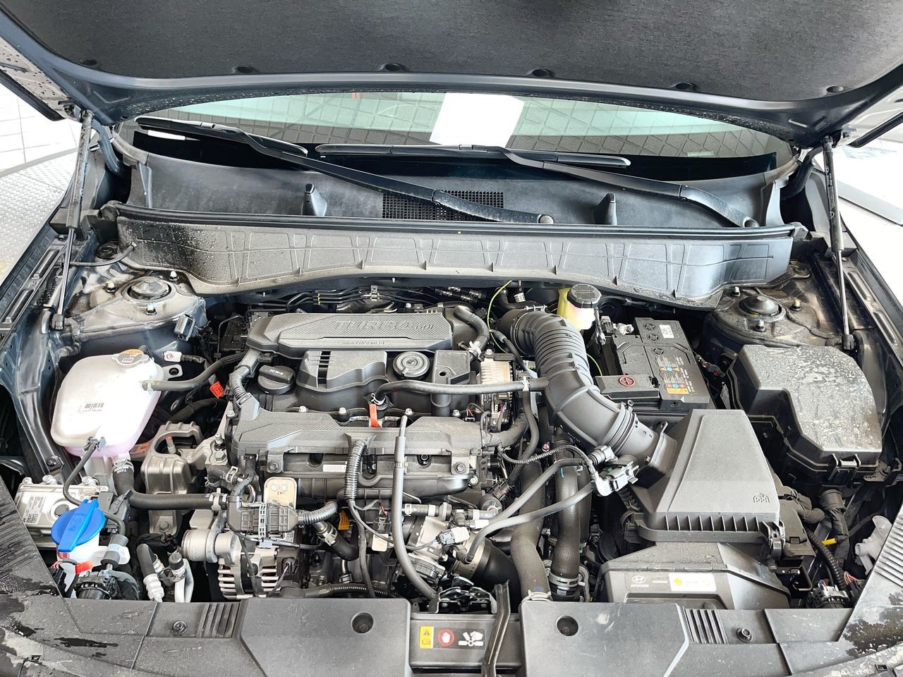 2025 Hyundai Kona in Regina, Saskatchewan