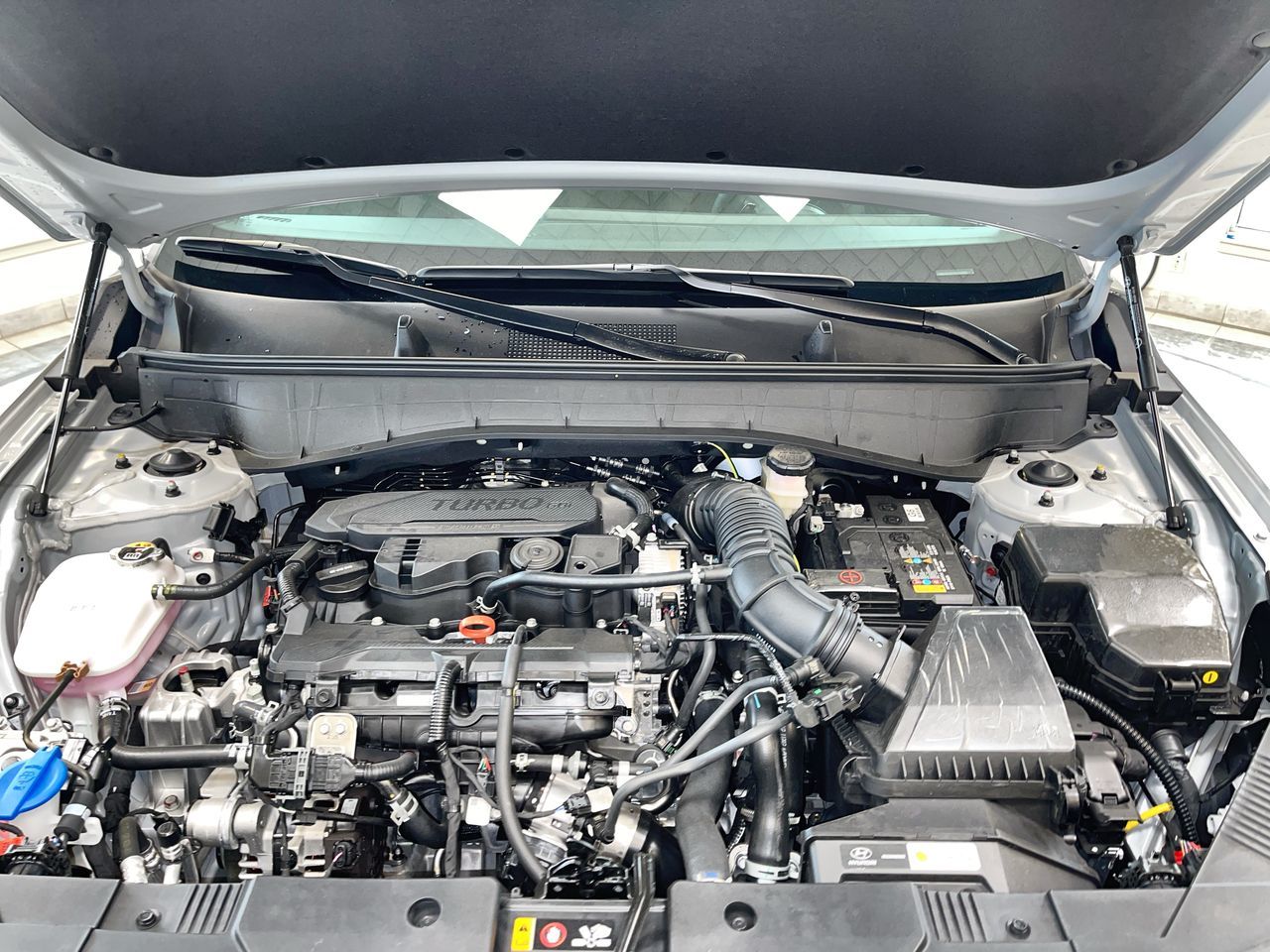 2025 Hyundai Kona in Regina, Saskatchewan