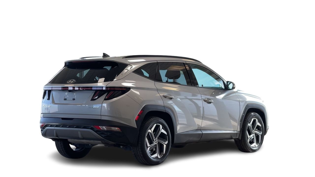 2024 Hyundai Tucson Hybrid in Regina, Saskatchewan
