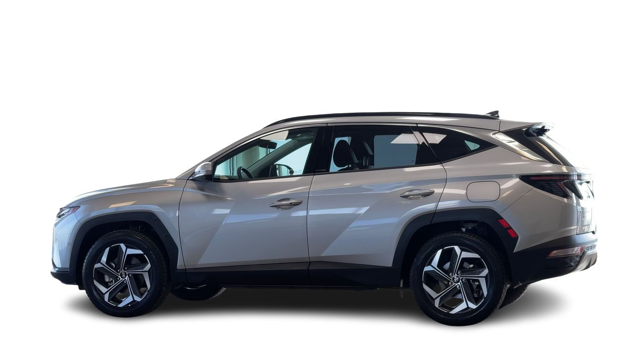 2024 Hyundai Tucson Hybrid in Regina, Saskatchewan