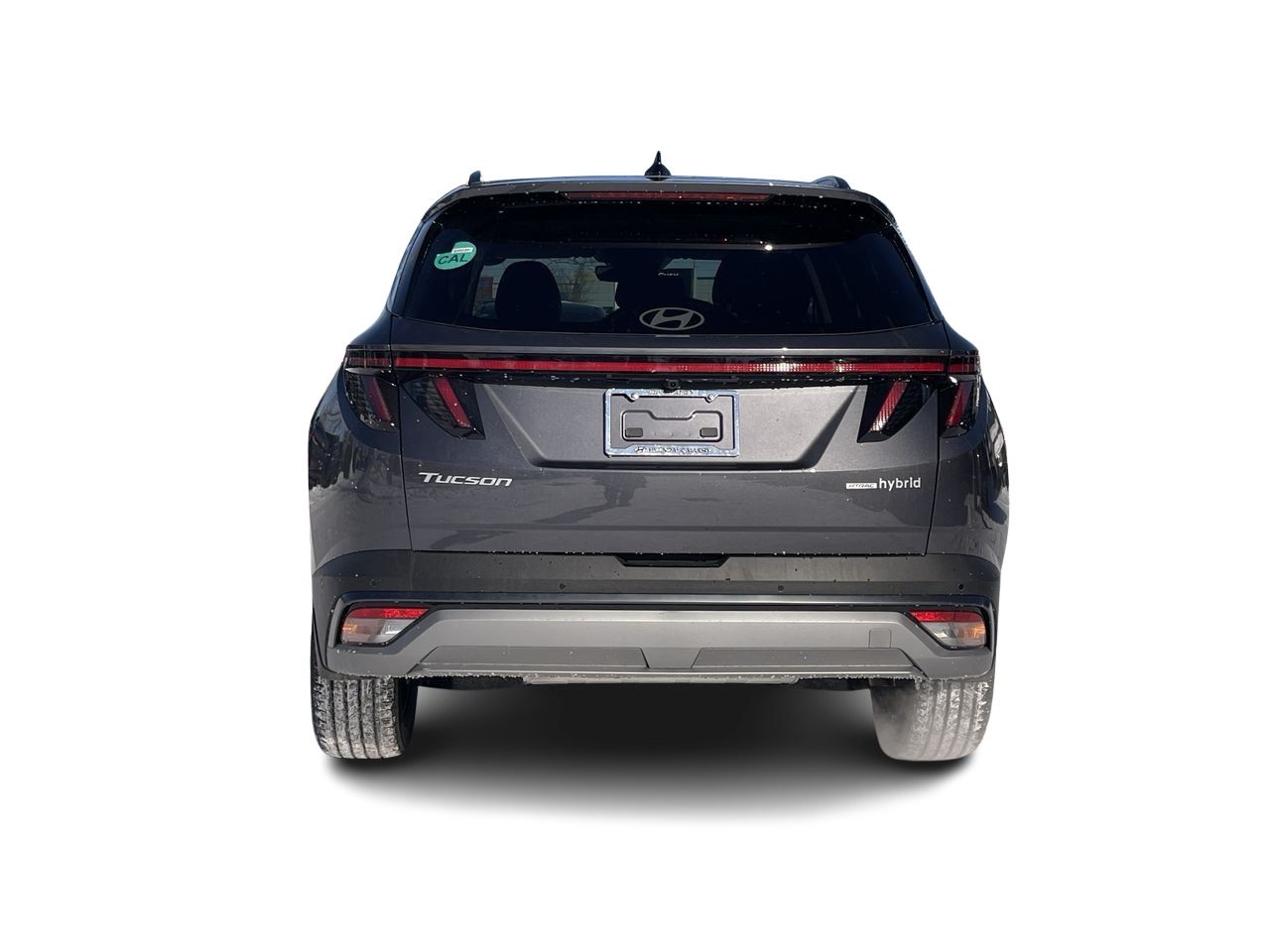 2025 Hyundai Tucson Hybrid in Regina, Saskatchewan