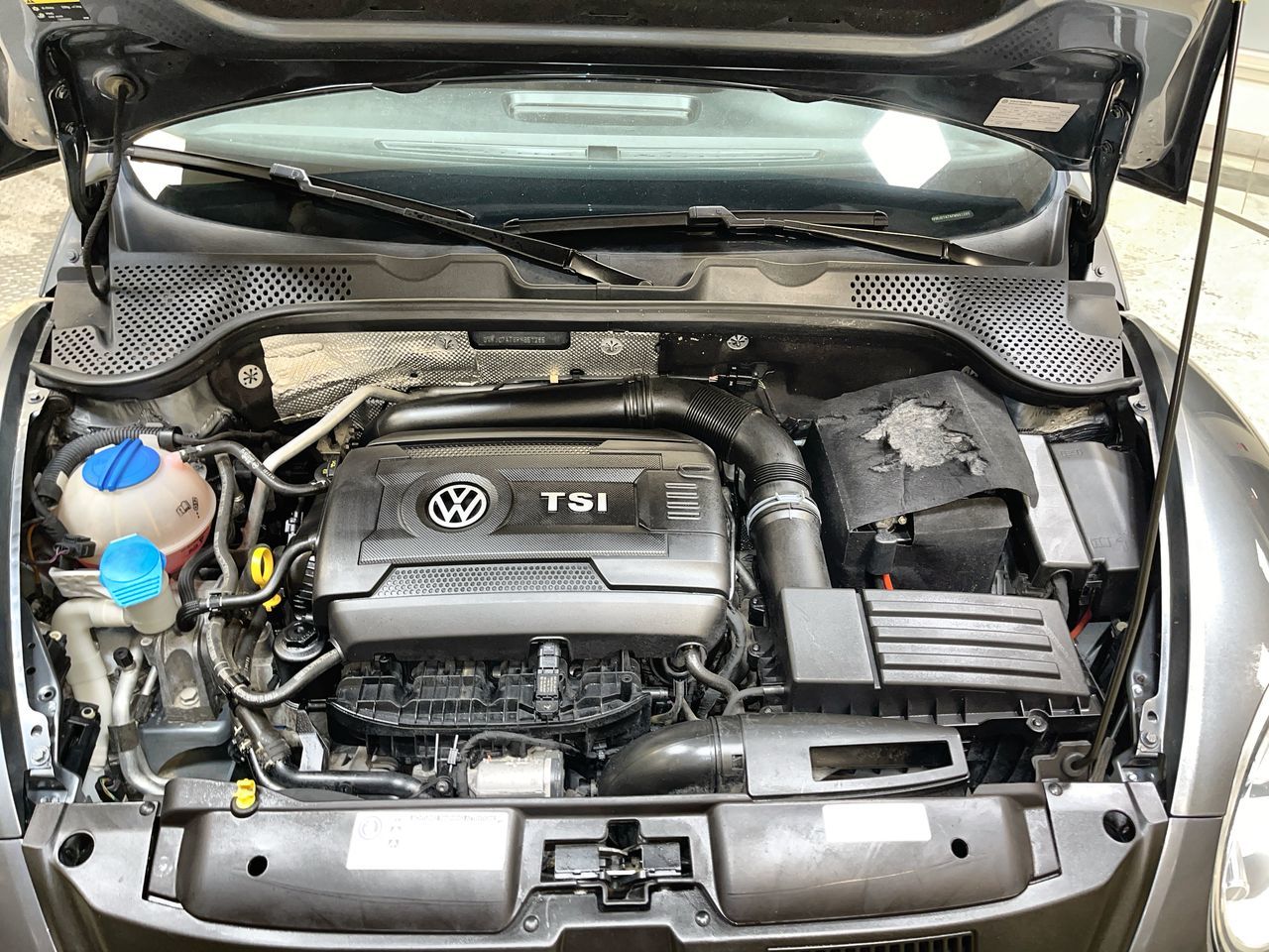 Volkswagen The Beetle  2015 à Regina, Saskatchewan