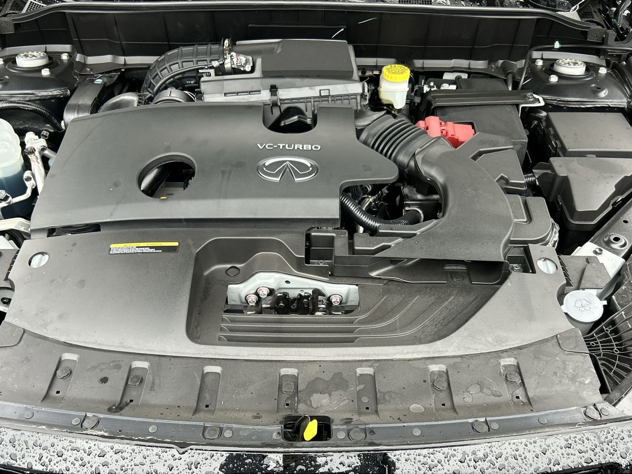 Infiniti QX50  2025 à Vancouver, Colombie-Britannique