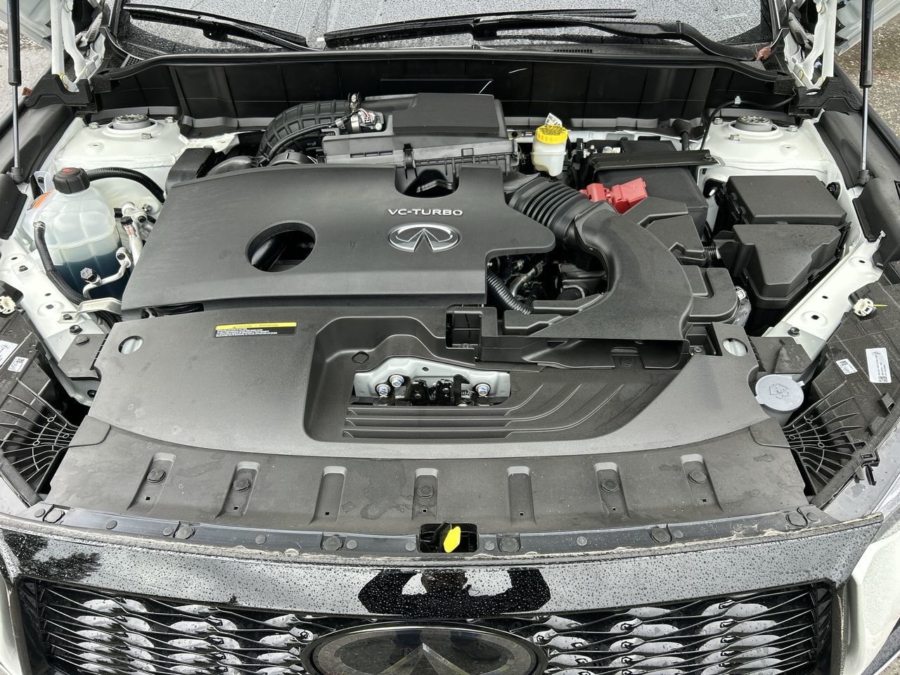 Infiniti QX50  2025 à Vancouver, Colombie-Britannique