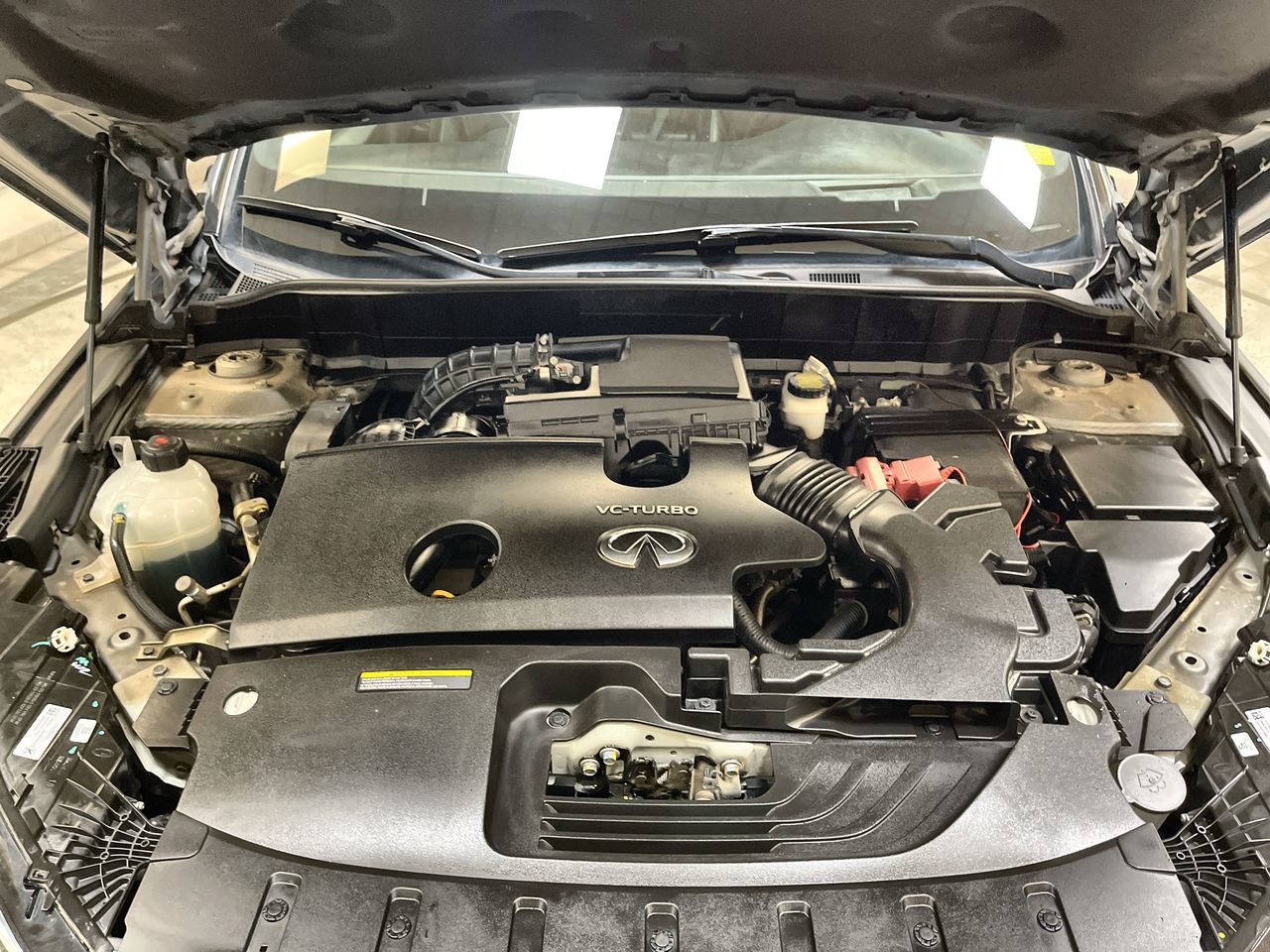 2019 Infiniti QX50 in Regina, Saskatchewan