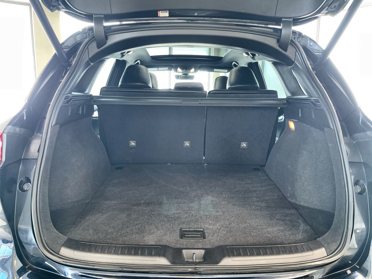 2023 Infiniti QX50 in Regina, Saskatchewan