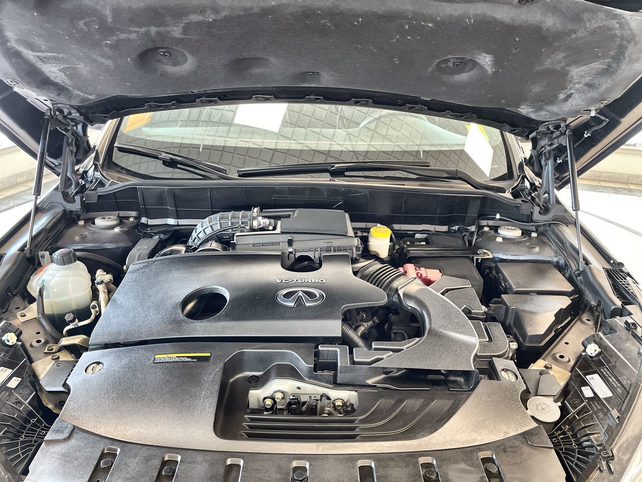 2023 Infiniti QX50 in Regina, Saskatchewan