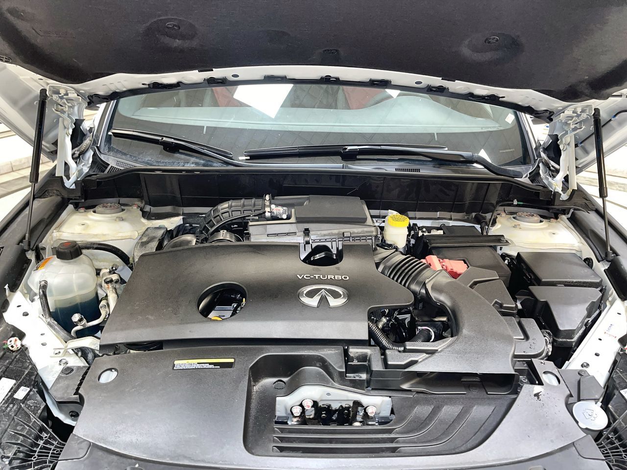 2025 Infiniti QX50 in Regina, Saskatchewan