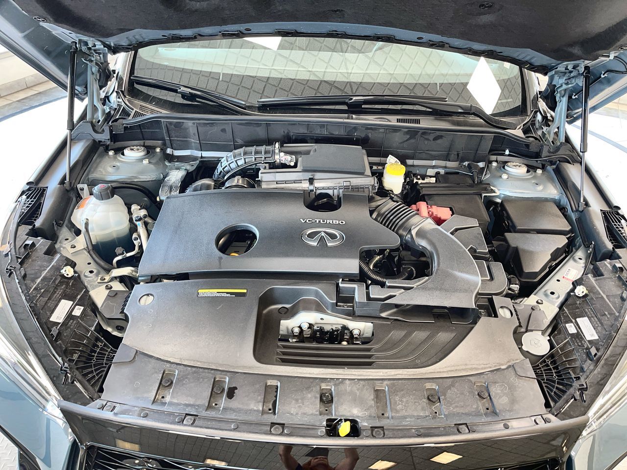 2025 Infiniti QX50 in Regina, Saskatchewan