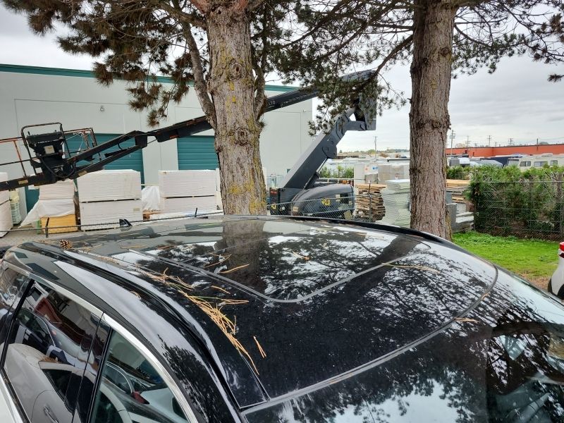 2024 Infiniti QX60 in Regina, Saskatchewan