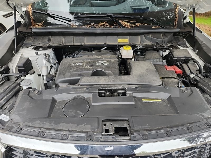 2024 Infiniti QX60 in Regina, Saskatchewan