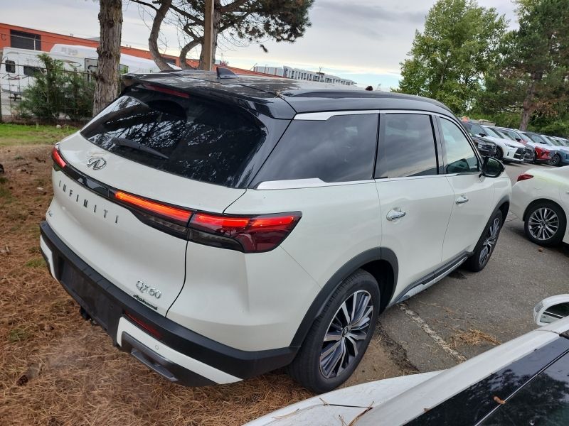 2024 Infiniti QX60 in Regina, Saskatchewan