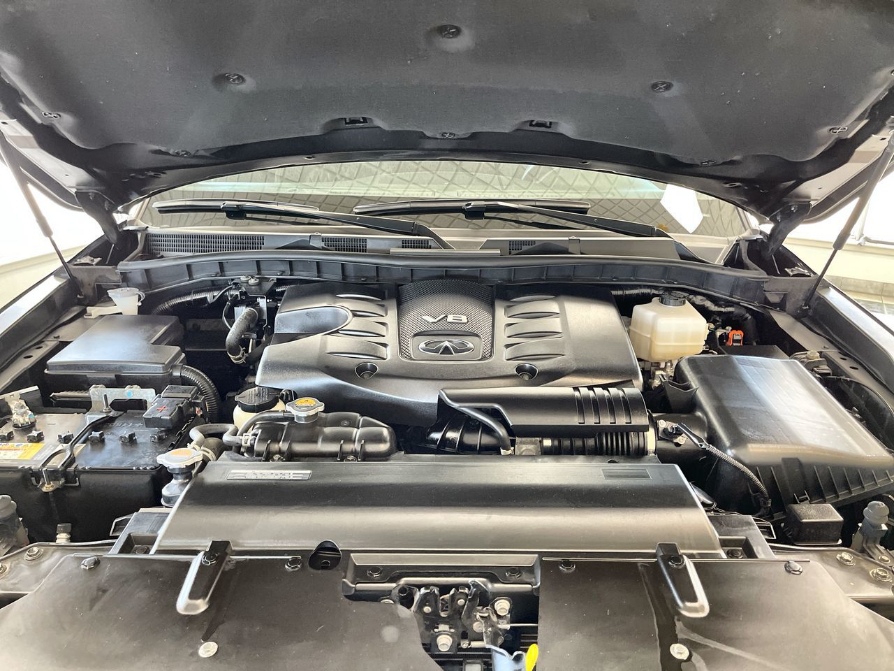 2024 Infiniti QX80 in Regina, Saskatchewan