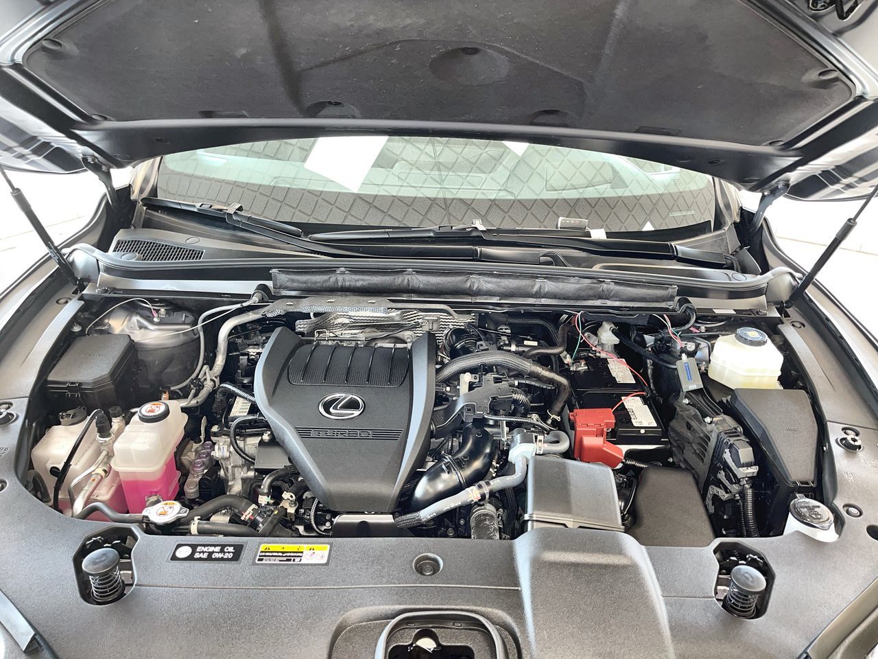 2023 Lexus RX in Regina, Saskatchewan