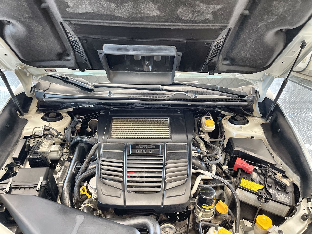 2021 Subaru WRX