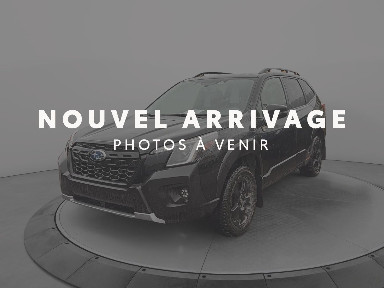 2022 Subaru Forester Wilderness