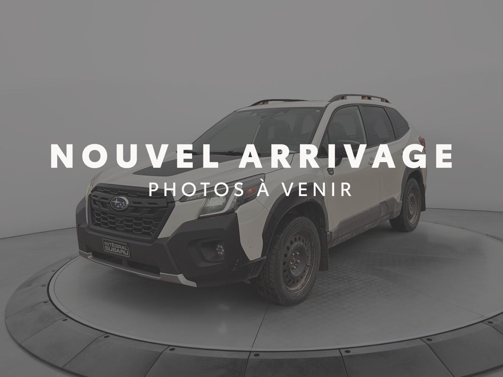 2022 Subaru Forester Wilderness