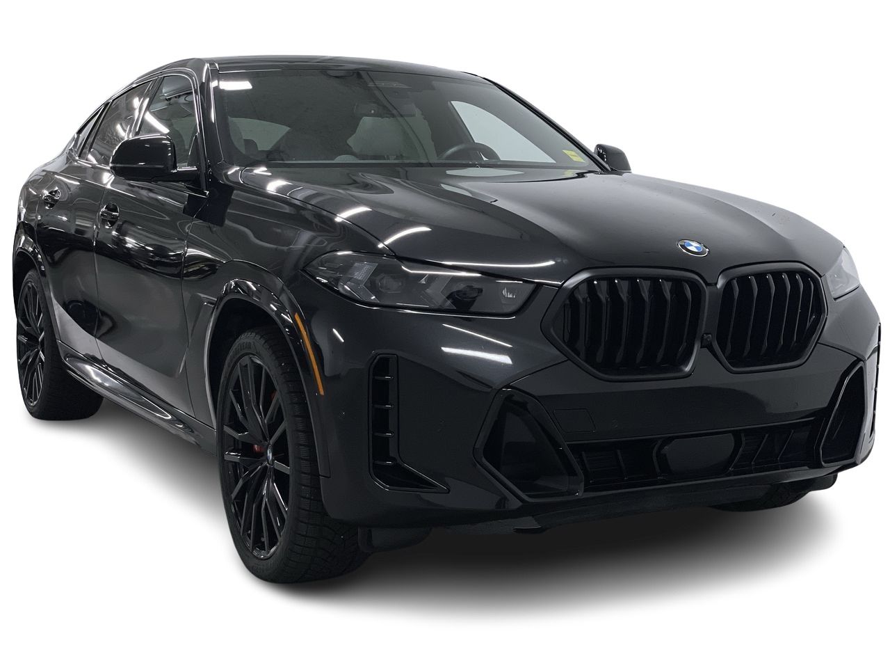2026 BMW X6