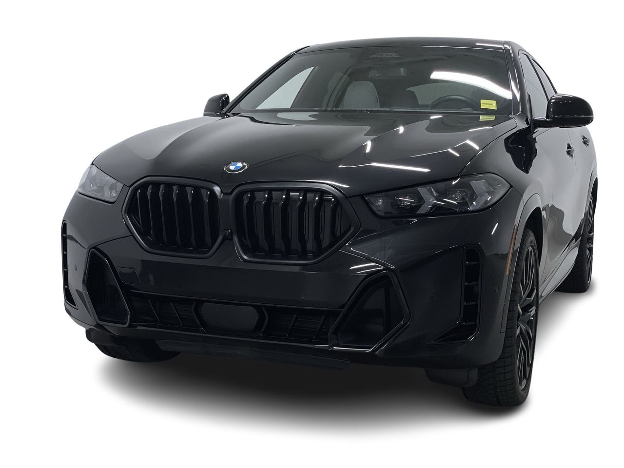 2026 BMW X6