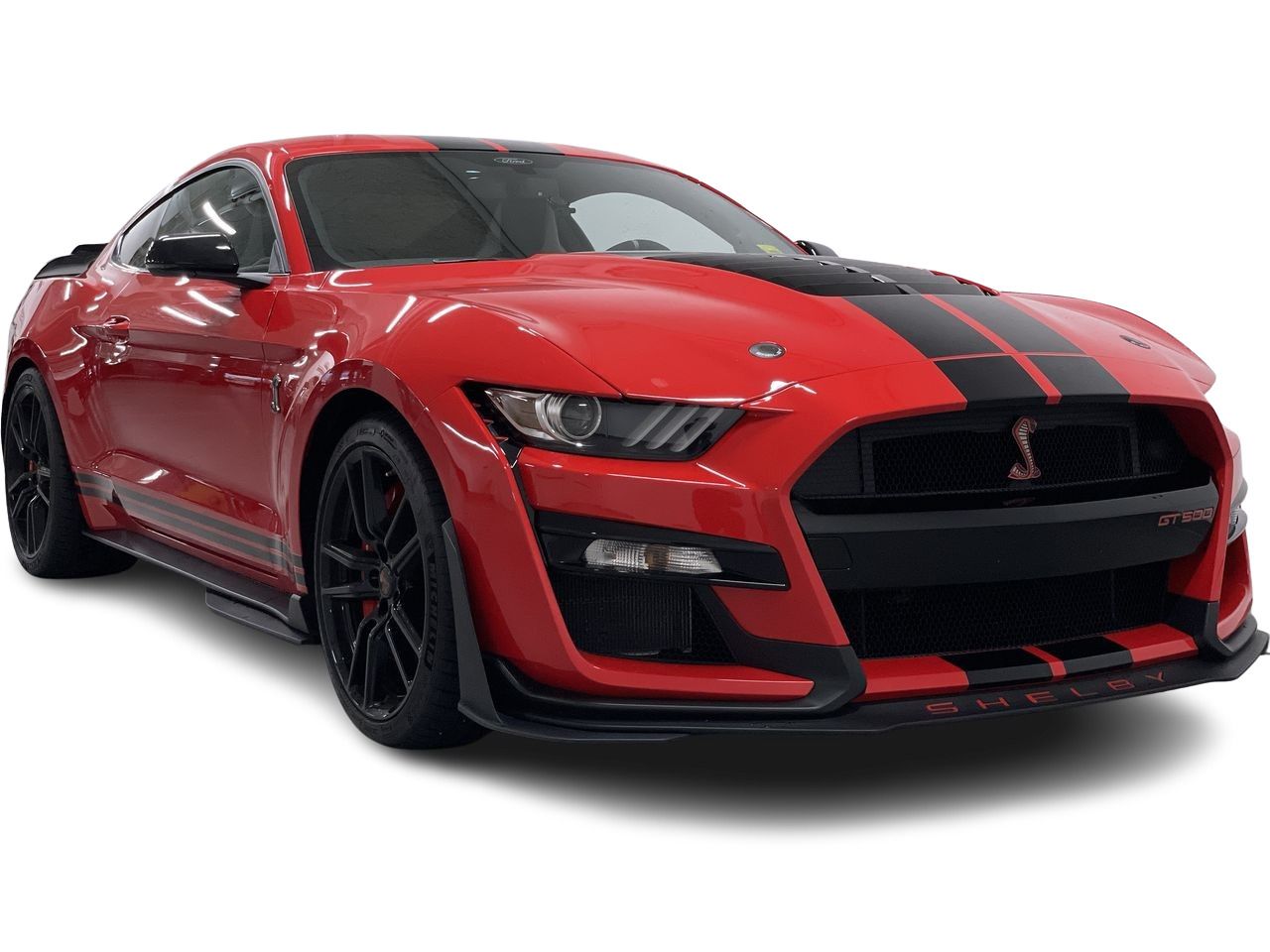 2021 Ford Shelby