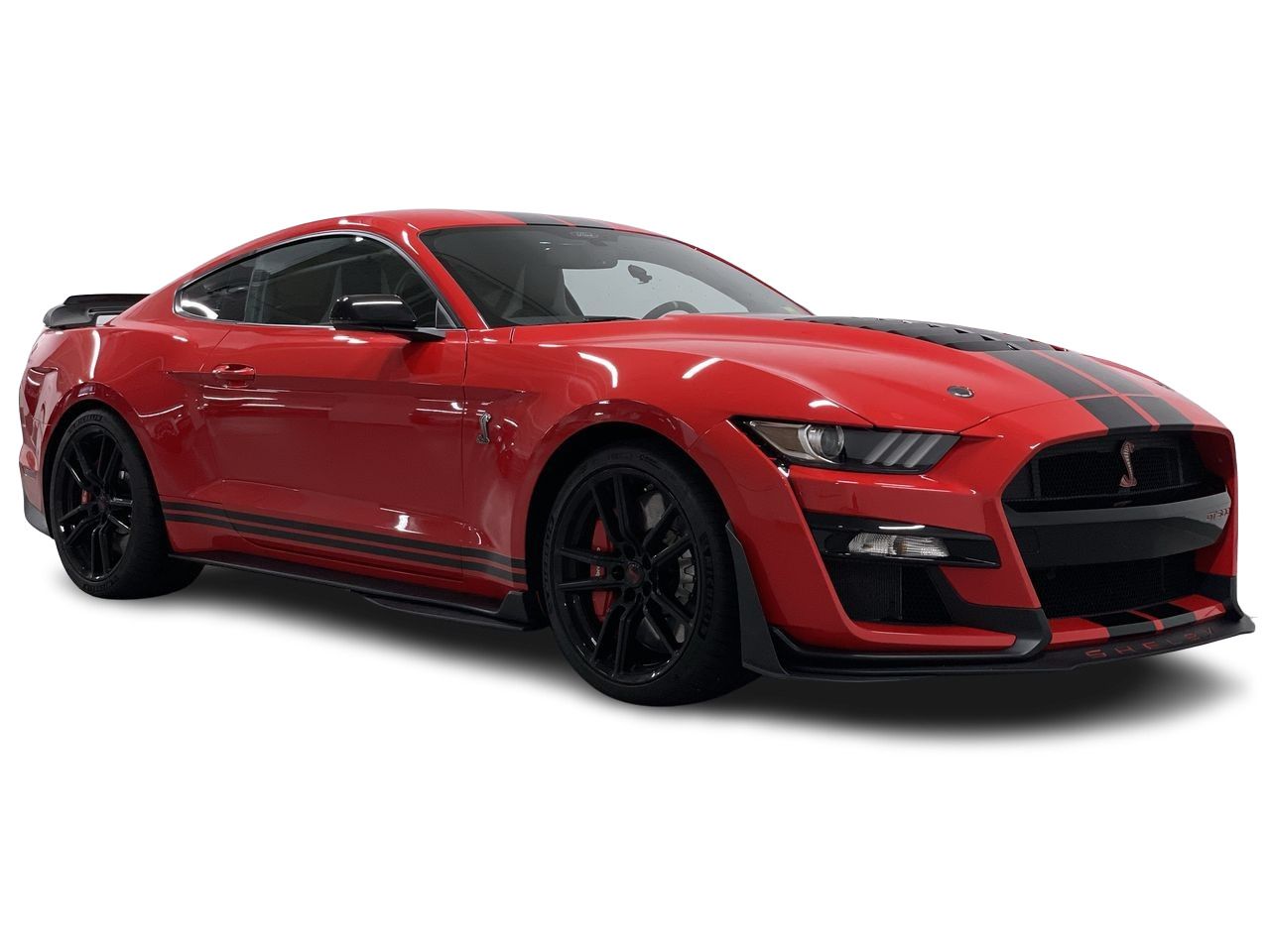 2021 Ford Shelby