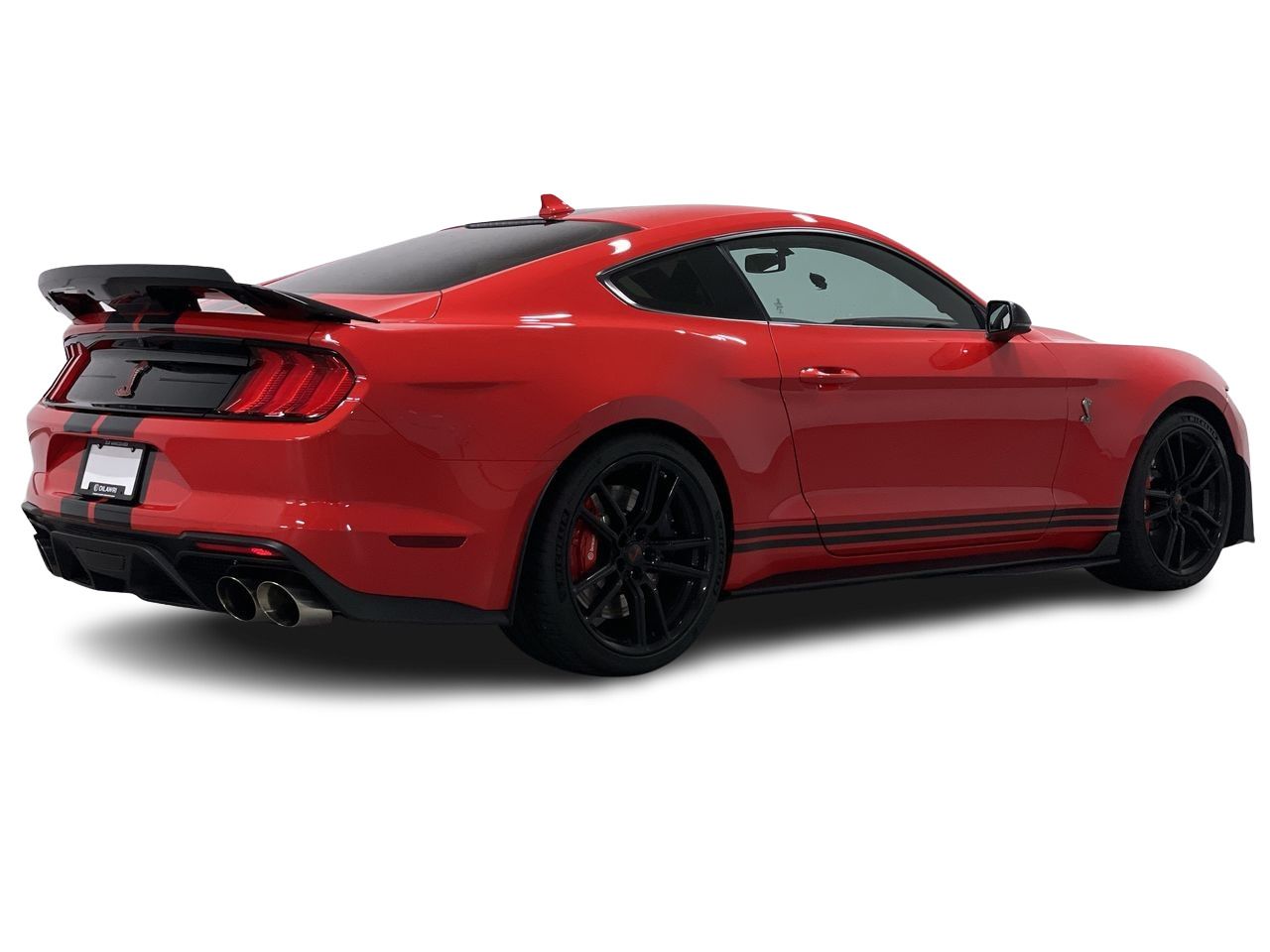 2021 Ford Shelby