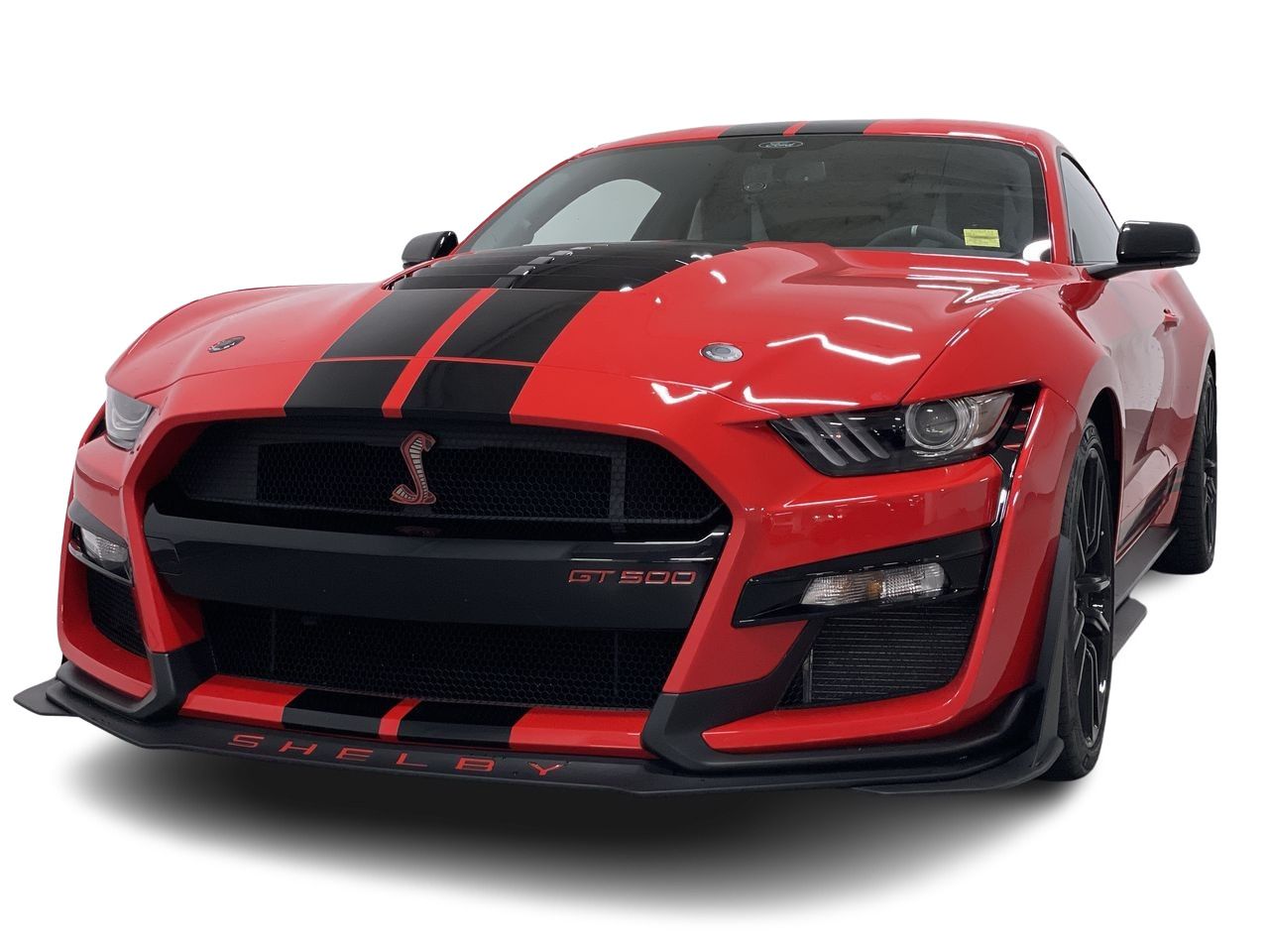 2021 Ford Shelby