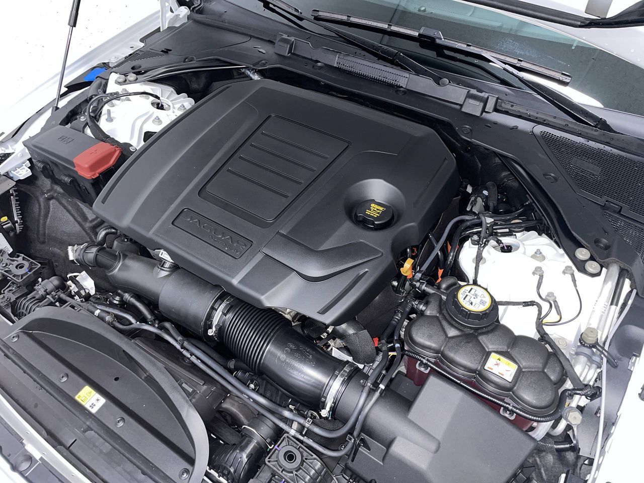 2024 Jaguar XF in Vancouver, British Columbia