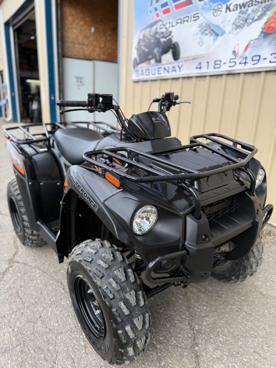 Kawasaki Brute Force 300  2018
