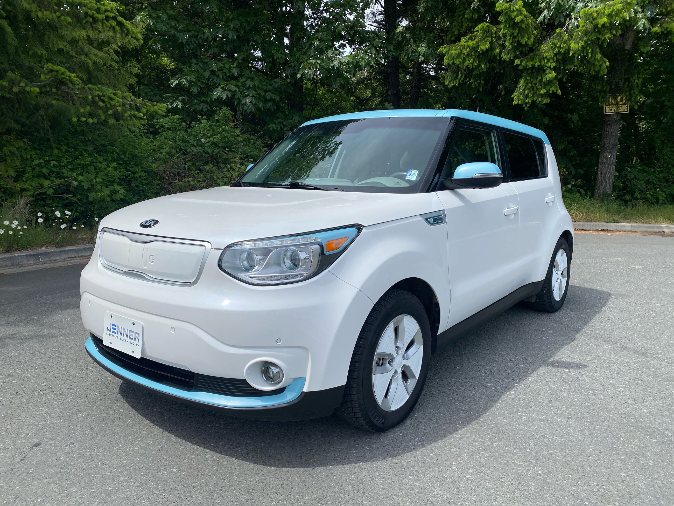 2016 Kia SOUL EV LUXURY