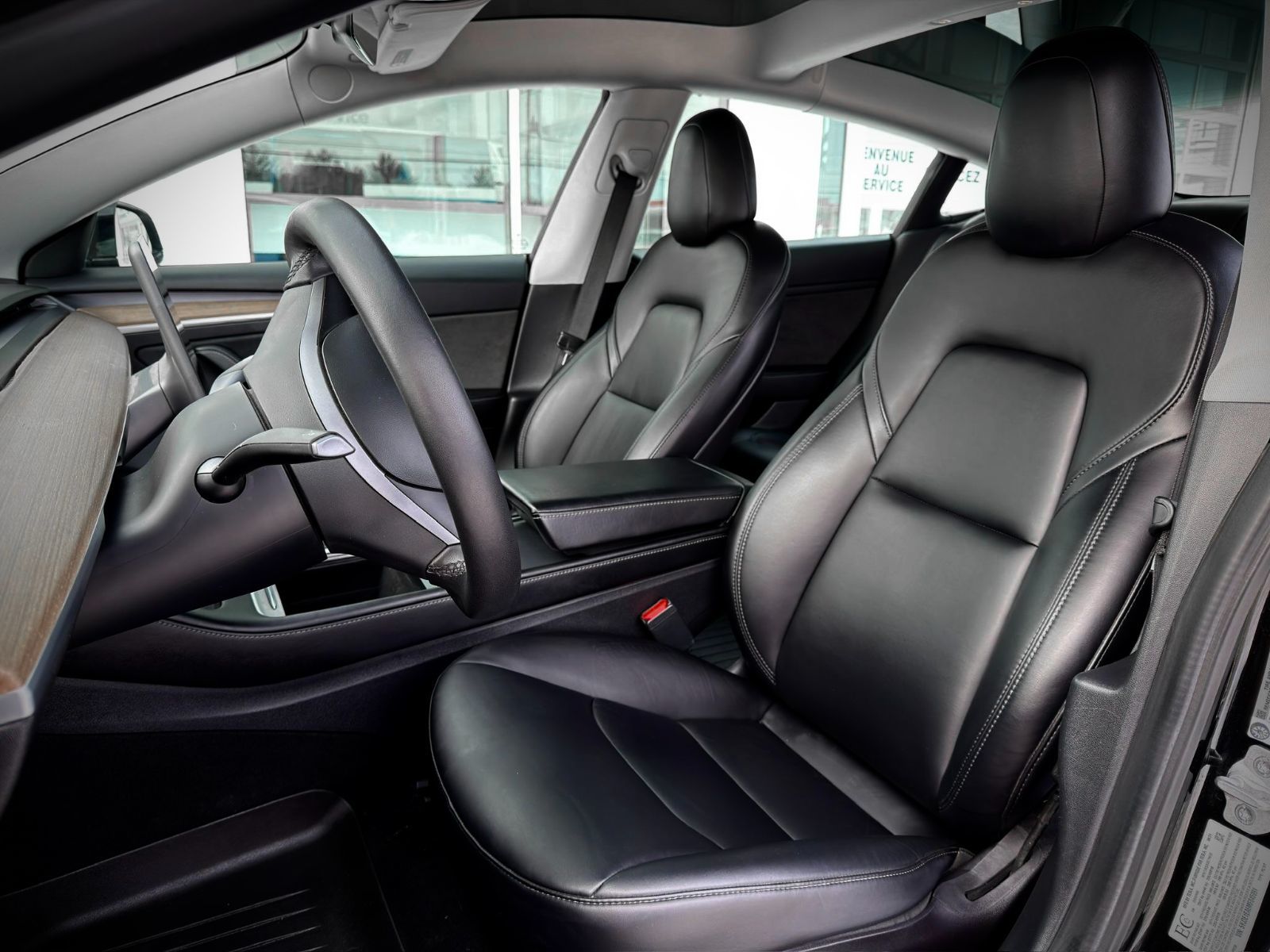 Tesla Model 3 Standard Range Plus 2021-18