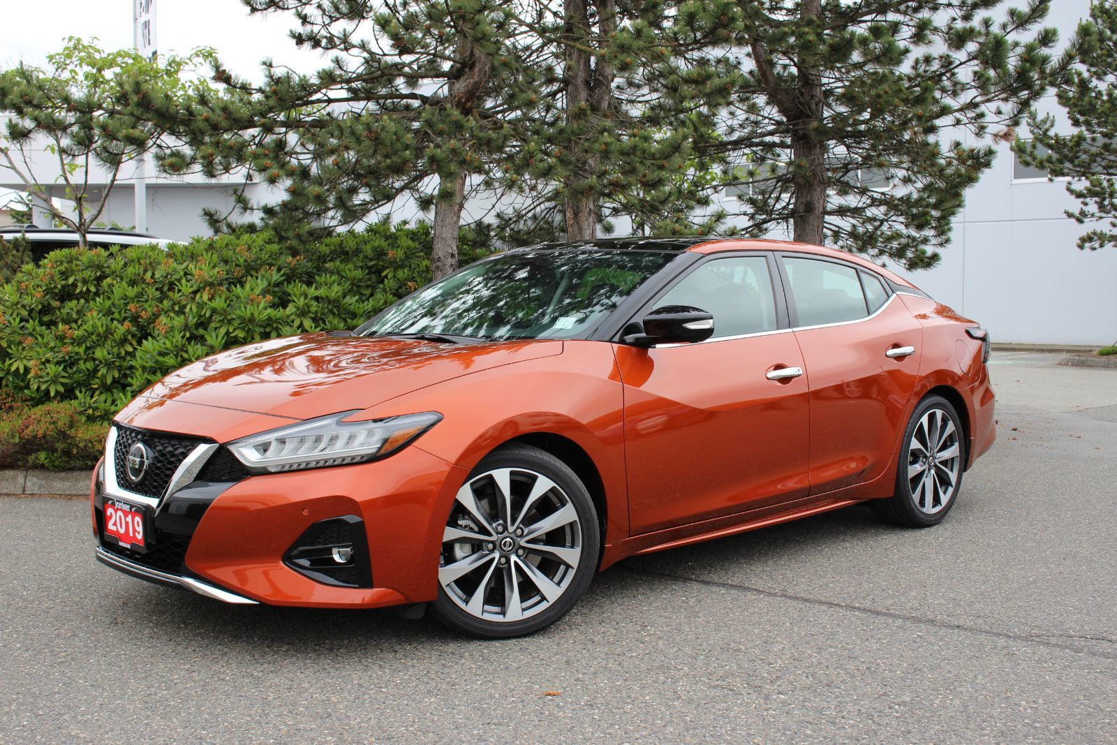 New 2019 Nissan Maxima Platinum for Sale - $42865.0 | Jonker Nissan