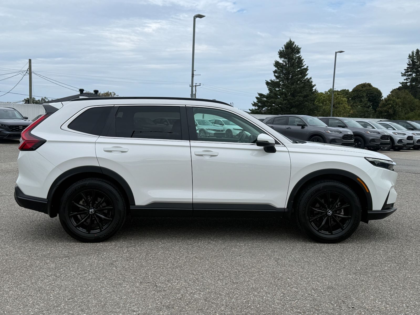 Photo Honda CR-V Sport 2025 #5